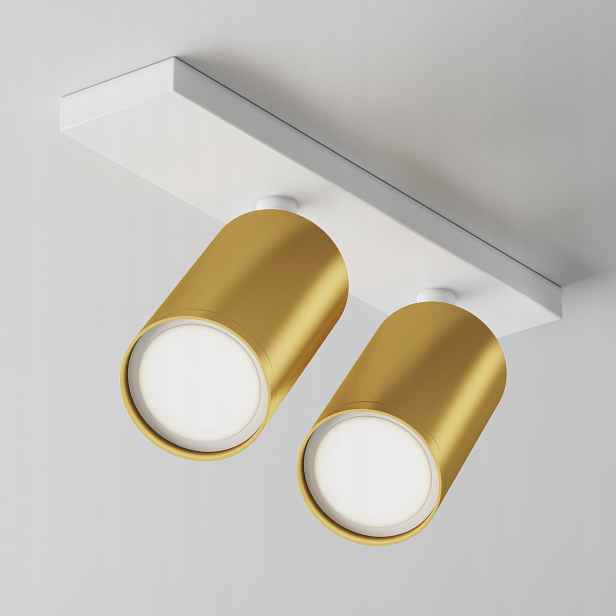 Maytoni Technical Focus S Stropní svítidlo C051CL-U-2WMG White