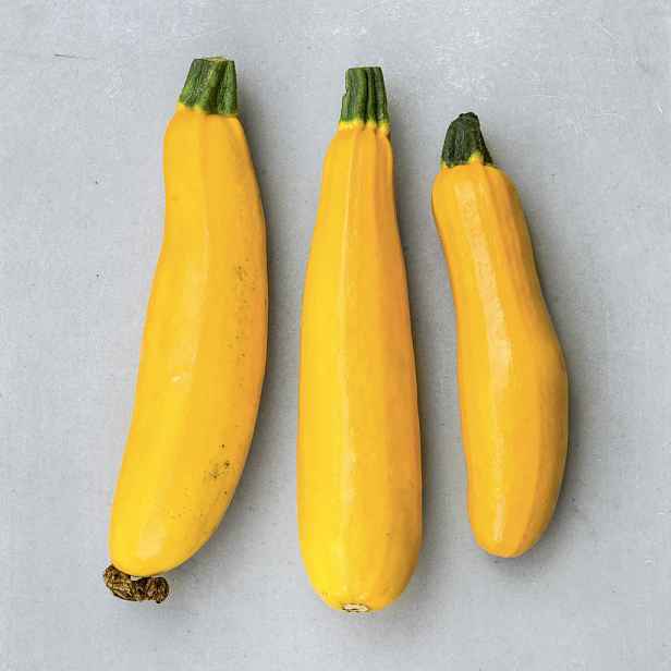 Culina Botanica Cuketa Golden Rush F1