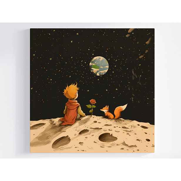 Obraz Na Plátně Canvas Děti Malý Princ Růže Liška Planeta Vesmír 50x50