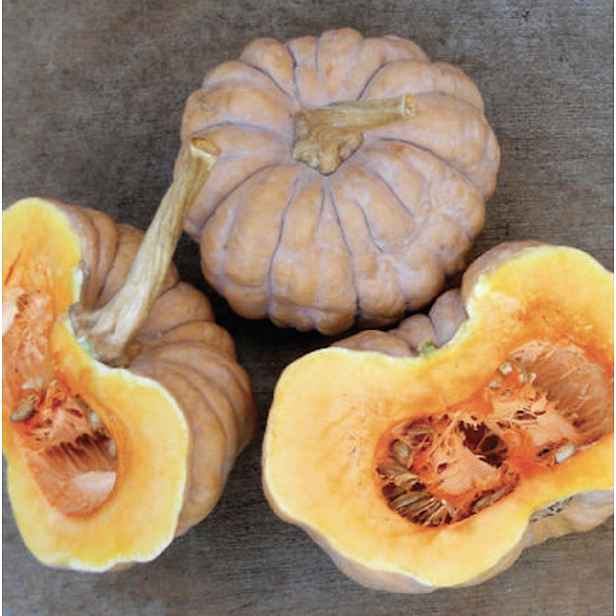 Culina Botanica Dýně Kikuza