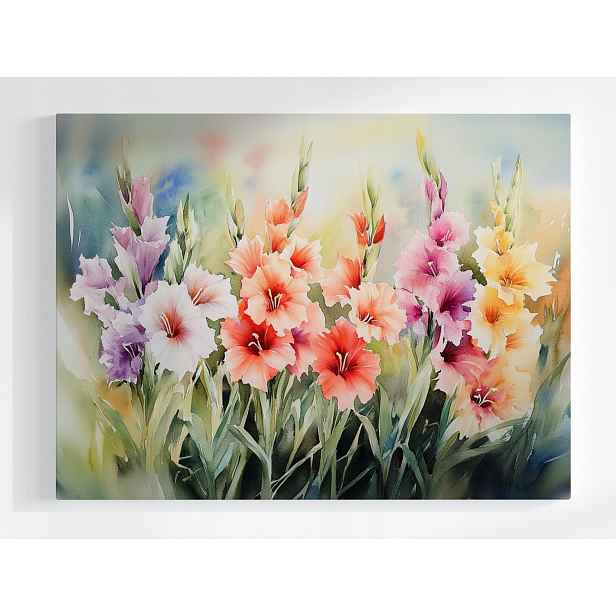 Plakát Příroda Zahrada Louka Květiny Gladiole Mečíky 100x75