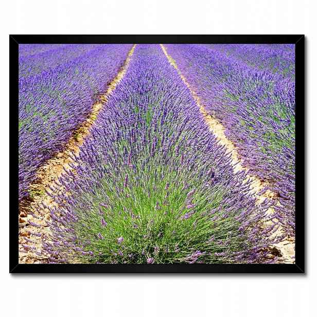 Plakáty v rámu 50x40 Levandule