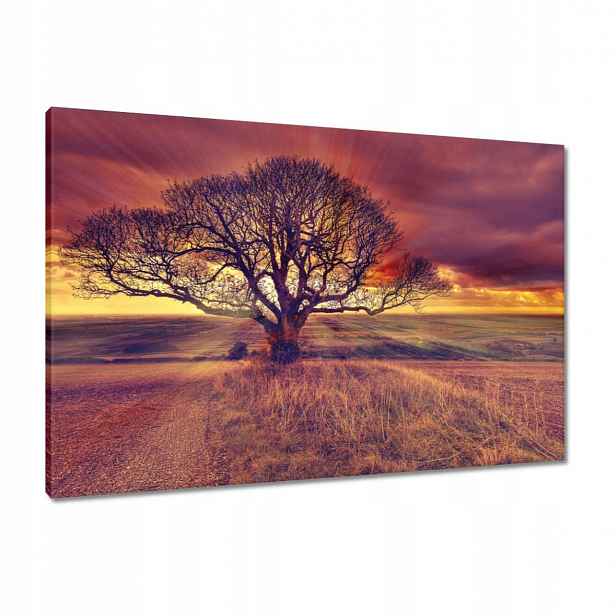 Obrazy 90x60 Strom