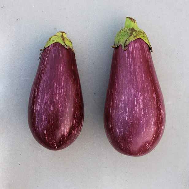 Culina Botanica Lilek řecký z Tsakoniki