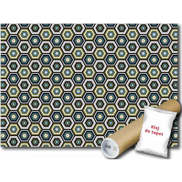 Fototapeta Hexagon Vzor 23B F4XL 416x290 F11138