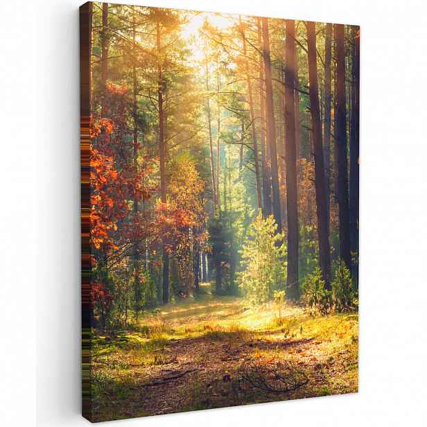 MuchoWow OBRAZ NA PLÁTNĚ Les - podzim - stromy 30x40 cm