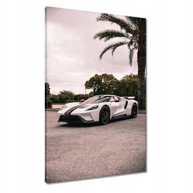 Obrazy 60x90 Ford auto