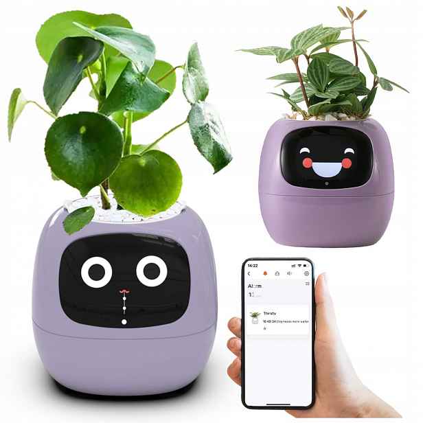 Květináč Ivy Planter Chytrý obal na květináč Smart květináč tipy pro zahradničení