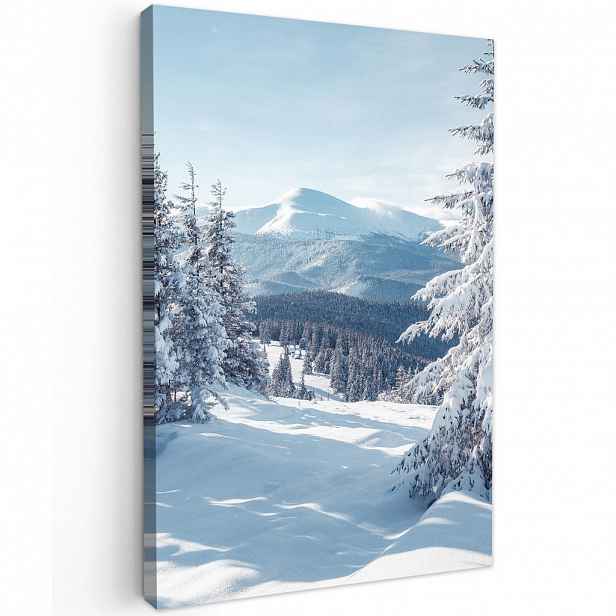 MuchoWow OBRAZ NA PLÁTNĚ Zimní krajina - Příroda - Hory - Stromy - Sníh 20x30 cm