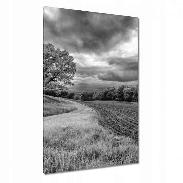 Obrazy 80x120 Černobílé pole