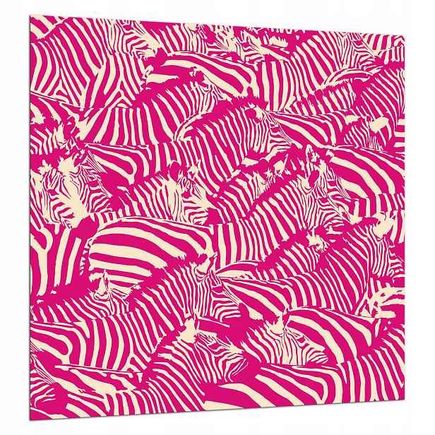 Skleněná Deska Ochranná 60x65 Zebra