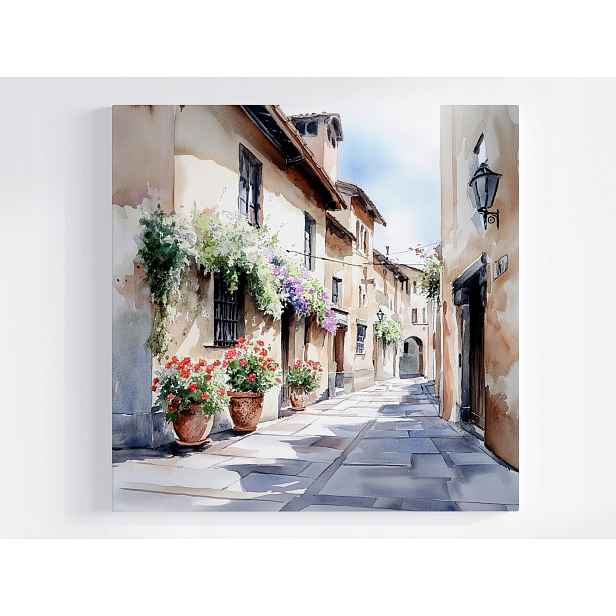 Obraz Na Plátně Canvas Městečko Itálie Ulice Ulička 50x50