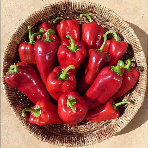 Culina Botanica Paprika Ajvarski BIO