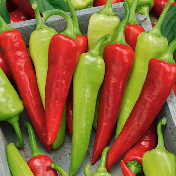 Culina Botanica Paprika Sweet Banana