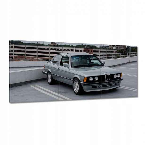 Obrazy 150x70 Šedé Bmw E30