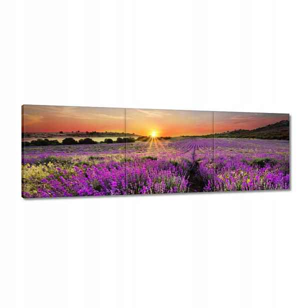 Obrazy 120x40 Levandulová louka
