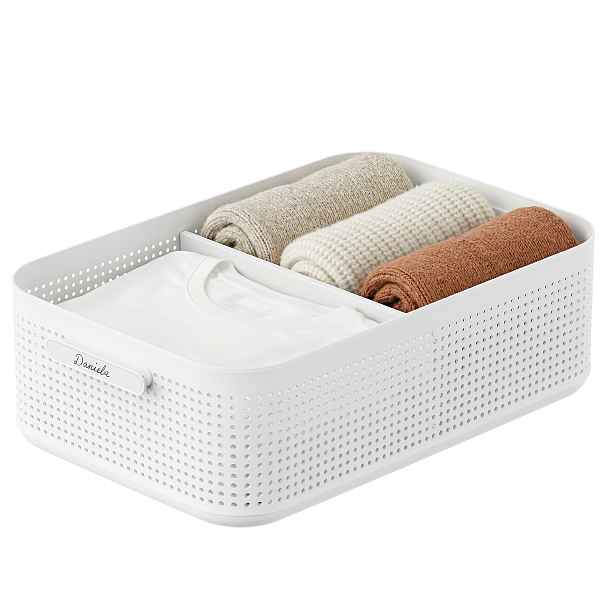 Rotho Úložný box do skříně, šatní organizér LISORA - L, 49,4 × 31 × 15 cm