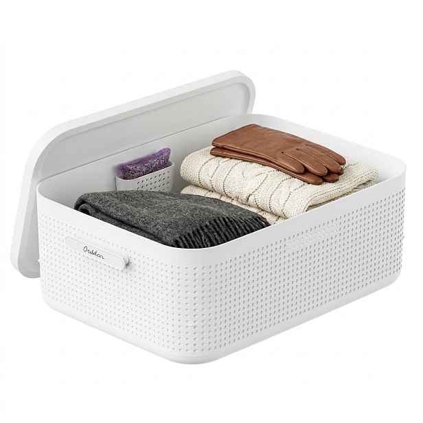 Rotho Úložný box do skříně s víkem a přihrádkou na levanduli, šatní organizér LISORA - M, 50  × 35,6 × 18 cm