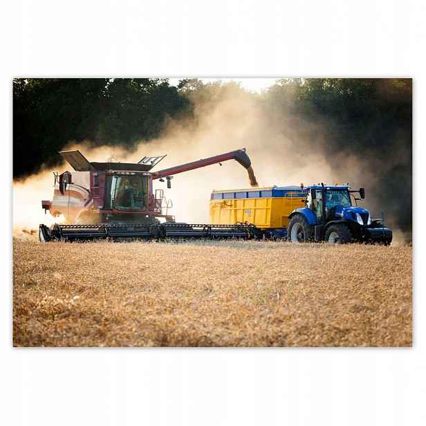 Fototapety 104x70 Žně Kombajn Traktor