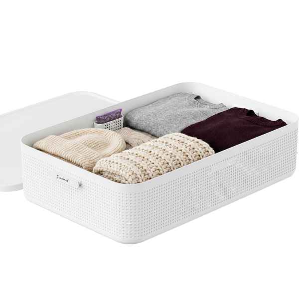 Rotho Úložný box do skříně s víkem a přihrádkou na levanduli, šatní organizér LISORA - XL, 73,5  × 47,5 × 18 cm
