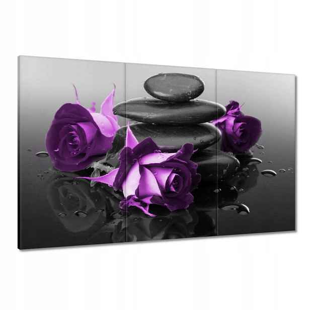 Obrazy 120x80 Fialové růže Kámen Spa