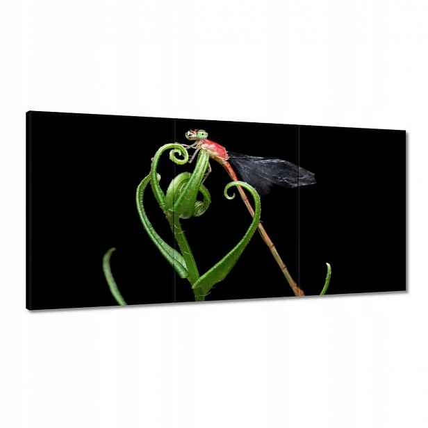 Obrazy 180x90 Vážka na zeleném listu