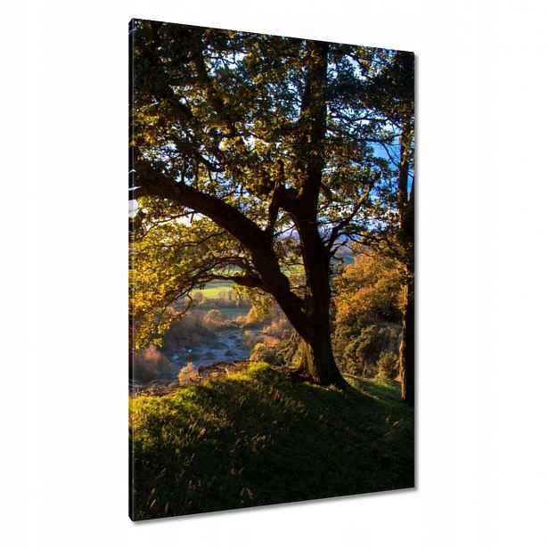 Obrazy 80x120 Pohled do údolí