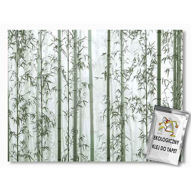 Fototapeta Flizelina Příroda Les Stromy Bambus 208x146 130g
