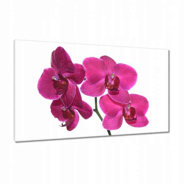 Obrazy 120x70 Fialový orchidej
