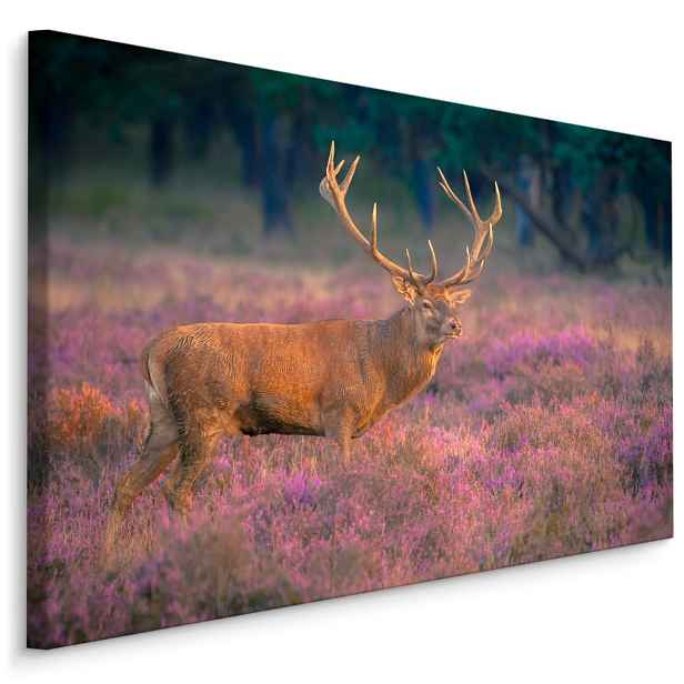 MyBestHome BOX Plátno Jelen V Lese III. Varianta: 70x50