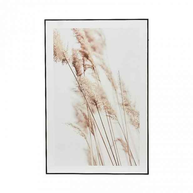Obraz květu trávy na MDF desce 60x40cm