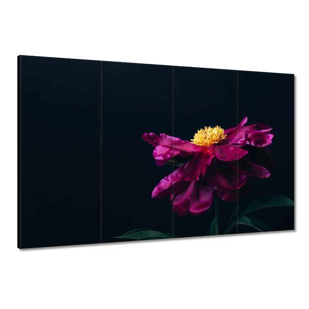 Obrazy 120x80 Krásný růžový květ Astra