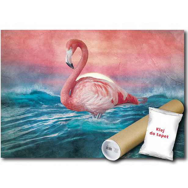 Vinylová Fototapeta Plameňák Pták Voda 152x104