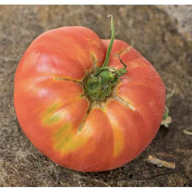 Culina Botanica Rajče Malinowy pomidor