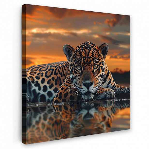 MuchoWow OBRAZ NA PLÁTNĚ Příroda - Leopard - Zvíře - Západ slunce - Moderní 50x50 cm