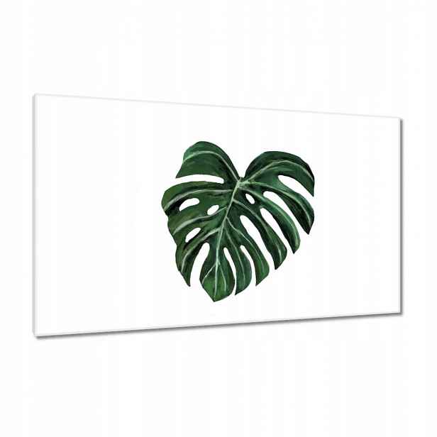 Obrazy 120x70 Monstera deliciosa List