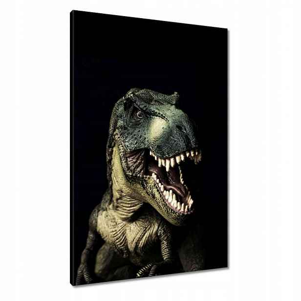 Obrazy 60x90 Tyranosaurus-t-rex černý