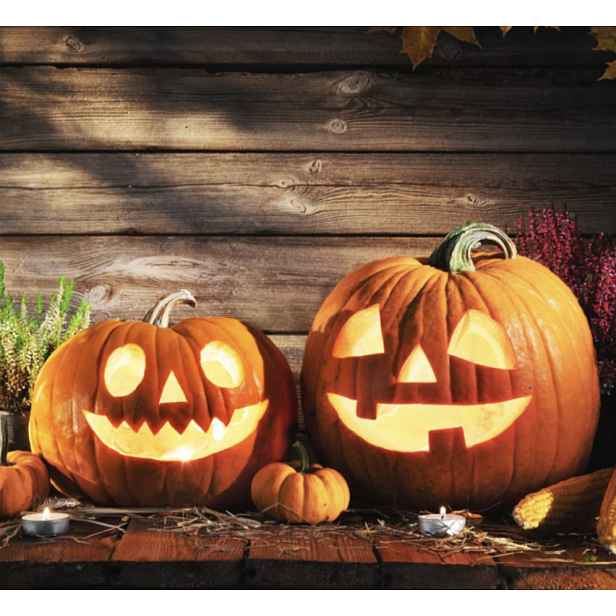 Culina Botanica Dýně halloweenská Jack O’Lantern