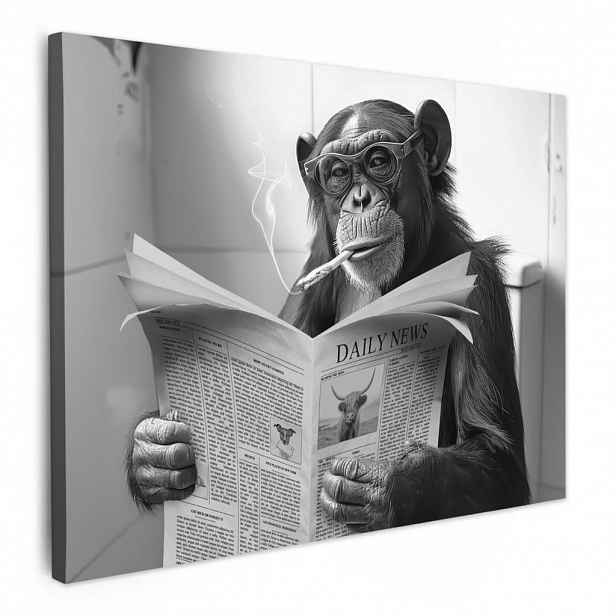 MuchoWow OBRAZ NA PLÁTNĚ Opice - WC - Noviny - Černobílé - Humor 40x30 cm