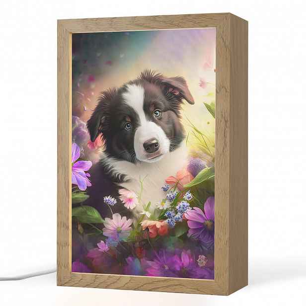 OnlyWow NOČNÍ LAMPIČKA Štěně - Slunce - Květiny - Příroda - Border kolie - Pes 20x30 cm