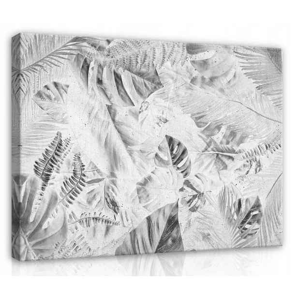 Obraz 80x60 Tropické listy džungle monochromatický šedý bílý botanika