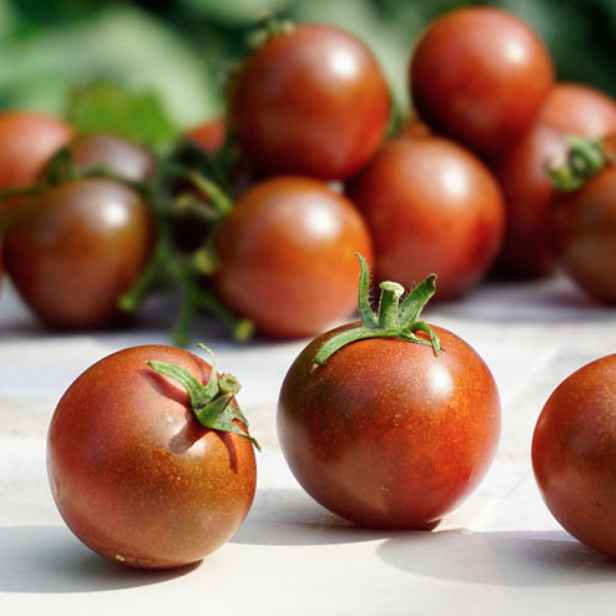 Culina Botanica Rajče Brown berry