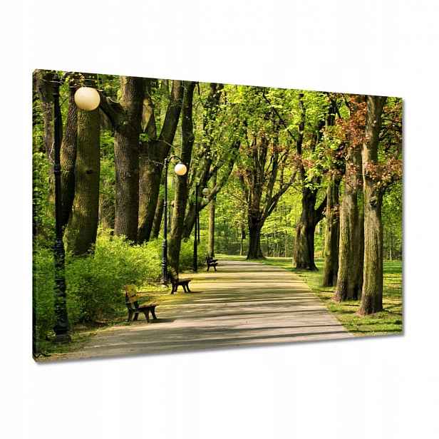 Obrazy 100x70 Park Citadela
