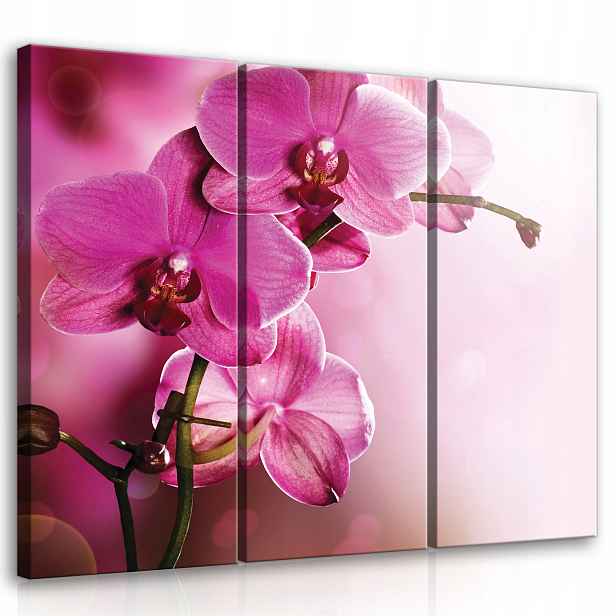 Obraz Orchidej Květiny 3 Obrázky Moderní Triptych Na Plátně Zeď 90x80