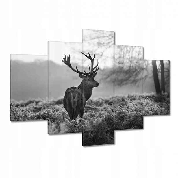 Obrazy 150x105 Černobílý jelen