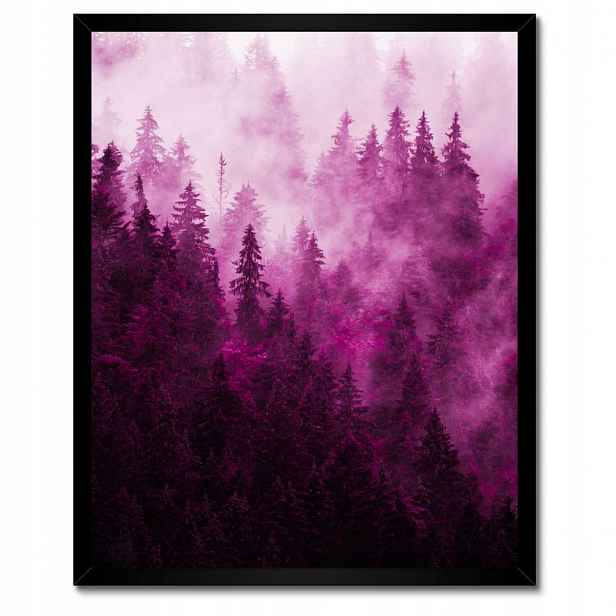 Plakáty v rámu 40x50 Krajina růží Hory Mlha