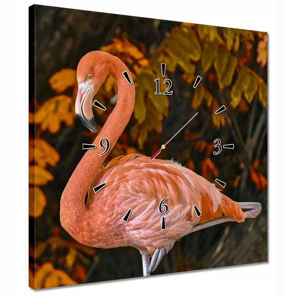 Nástěnné hodiny 40x40 Krásný plameňák