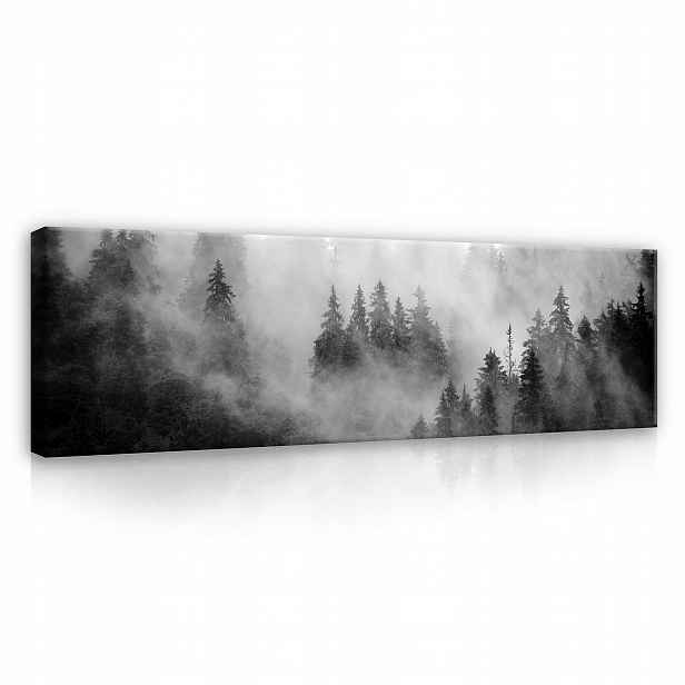 Obraz Černobílý Les V Mlze Na Plátně Stěna Do Ložnice Obývacího Pokoje 145x45