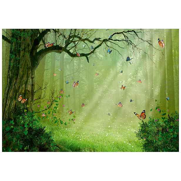 Fototapeta Flizelina Lesní motýli ve slunečném lesku stromu 208x146 lepidlo
