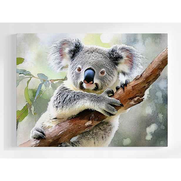 Plakát Fauna Natura Austrálie Medvídek Koala 100x75